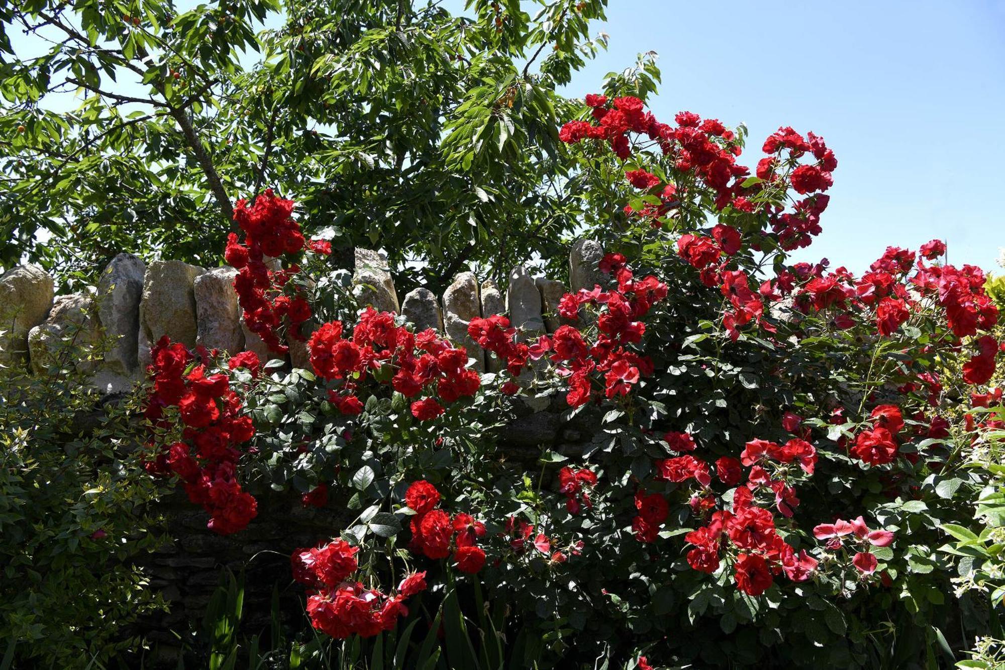 Bastide Des Demoiselles Bed & Breakfast Roussillon en Isere Екстериор снимка